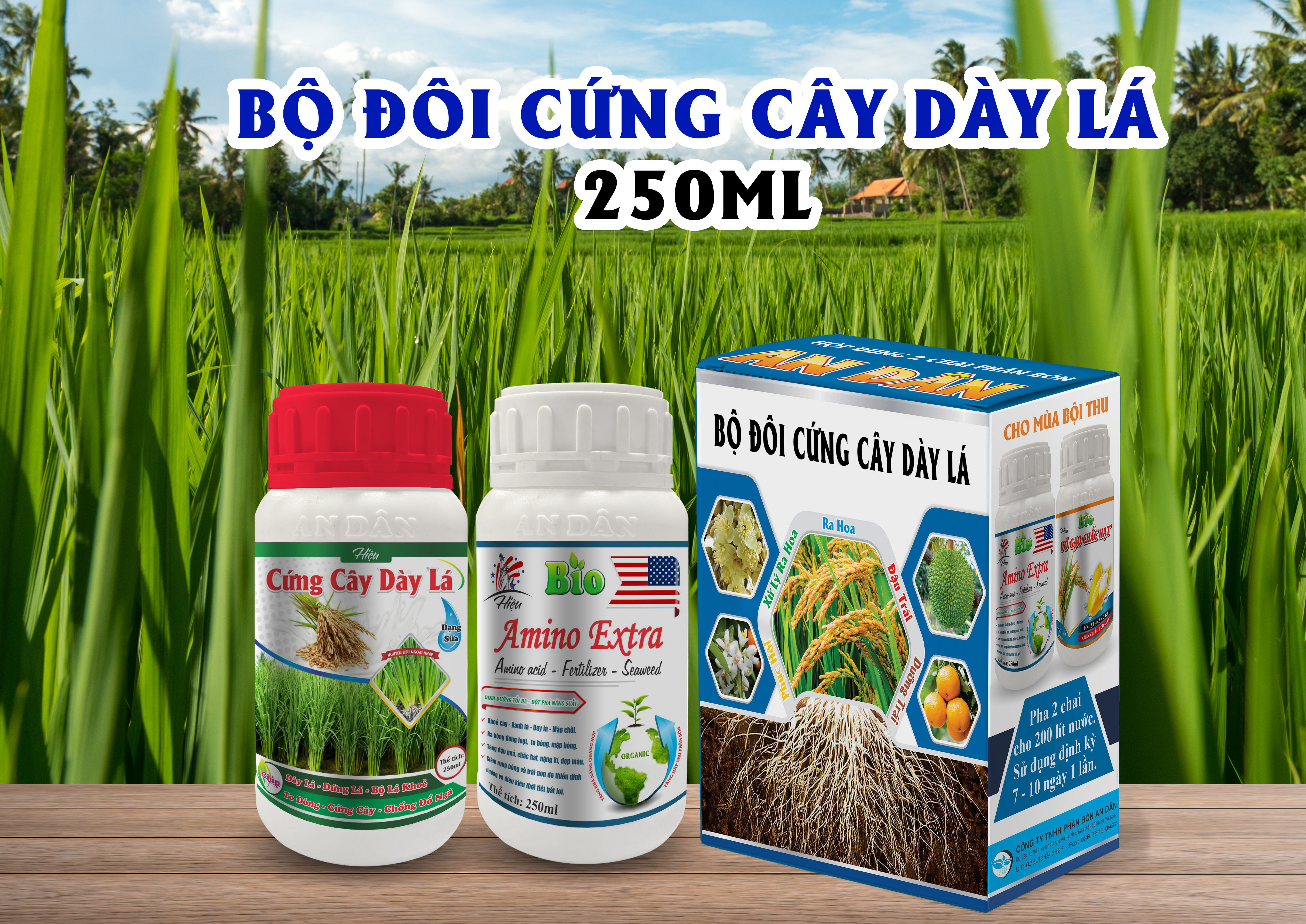BỘ ĐÔI CỨNG CÂY - DÀY LÁ